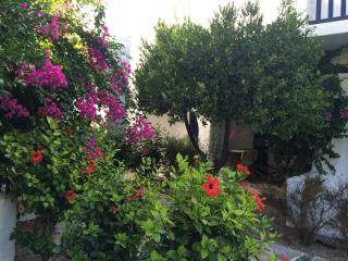 Utopia Hotel Apartments - Agia Marina - 2