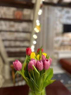 Etno village Mihailovic II - 1