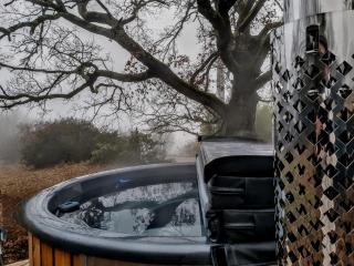 Moulin de Paillères - avec bain nordique et vue panoramique - 3
