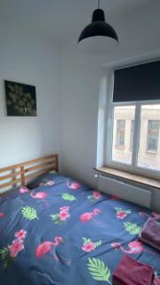 Cozy loft - Bydgoszcz - 8