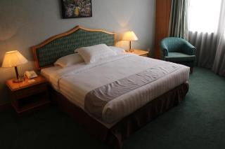Parkview Hotel - Kampong Jerudong - 4