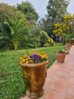 Villa Aurea - Hyères - 7