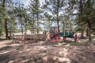 Cabin in Colorado National Forest! - 9