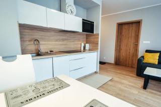 Apartament 19 Szklarska Poręba - Szklarska Poręba - 6