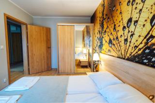 Apartament 19 Szklarska Poręba - Szklarska Poręba - 5