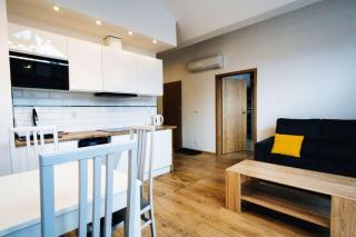 Apartament 114 Szklarska Poręba - Szklarska Poręba - 6