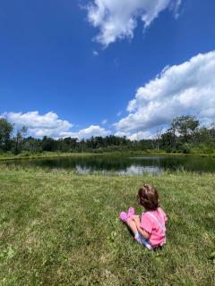Relaxing Retreat in the Heart of the Finger Lakes!- Dog Friendly and Hot tub - Springwater - 5