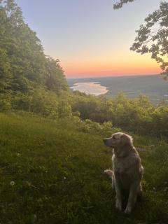 Relaxing Retreat in the Heart of the Finger Lakes!- Dog Friendly and Hot tub - Springwater - 8