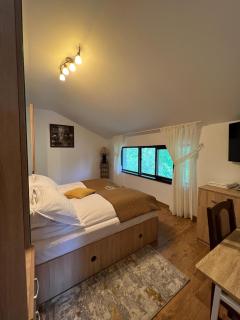 Hanul Doctorului Badeni-Runcu Vila 2 - 7