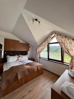 Hanul Doctorului Badeni-Runcu Vila 2 - 5