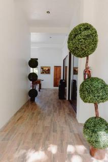 El Remate Panoramic View House 3 Levels Peten - 1