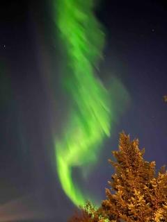 Bright and Beautiful House - Reikiavik - 7