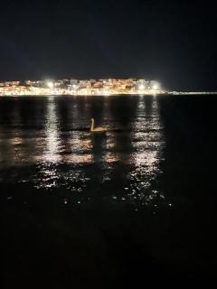 Sea Senses Andros - A Beachfront Retreat - Gavrio - 9