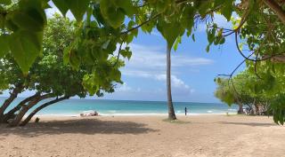 Karibbean Resort - Sainte-Luce - 4