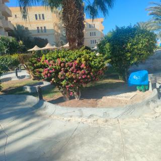 Hurghada Palma Resort Studio - Hurghada - 1