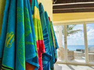 House with pool and seaview - Somerset - 3