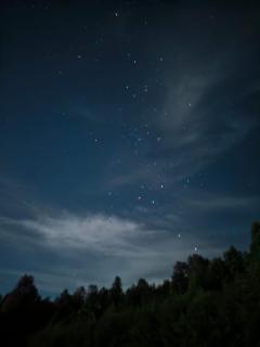 Cumbres de Huife Lodge - Pucón - 9
