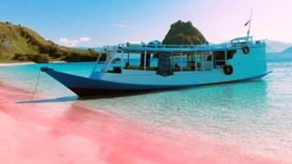 DAILY TRIP KOMODO TOUR - Labuan Bajo - 6