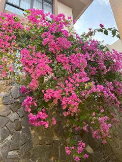 BIỆT THỰ BIỂN CAM RANH Wyndham garden - Miếu Ông - 8