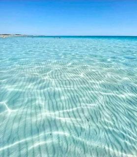 casetta nel salento - 7