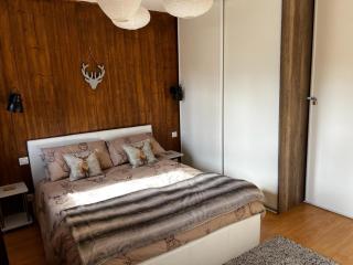 Sleeps6-PetFriendly&Garden-Hiking-Paragliding - Morzine - 9