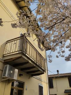 B&B LA QUERCIA DI MERY - La Villa - 8