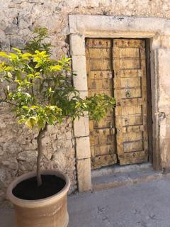 oliveraie de caractère - 8