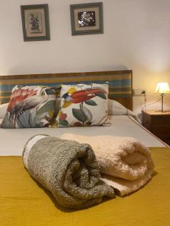 Casa Celia - Miranda del Rey - 3