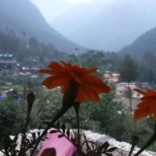 Vigyan Guest house katagla kasol - Kasol - 3