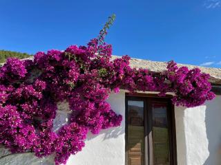 Casa Fatima - Órgiva - 8
