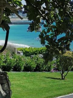 Magnifique maison-Vue mer exceptionnelle. - Audierne - 6