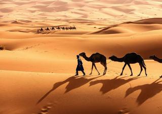 Holiday Luxury Camp - Merzouga - 1
