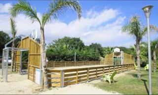 Camping le clos du thym - Argelès-sur-Mer - Argelès-sur-Mer - 7