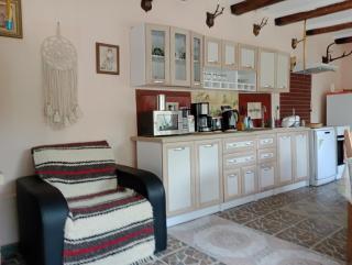 Casa Dragoi din Socolari, Caras - Severin - Socolari - 1