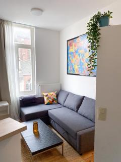 New Cozy Apartments In Porte de HAL - Bruxelles - 2