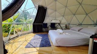 เกรทแลนด์เขาใหญรีสอร์ท - Ban Khanong Phra Tai - 5