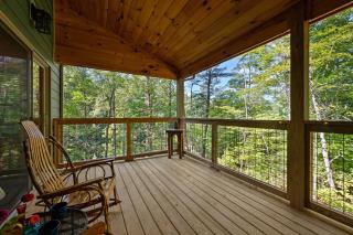 Bobcat Den chalet - Gatlinburg - 3