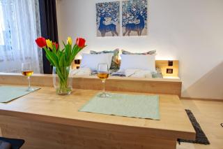 Studio apartman D7 - Vukovar - 1