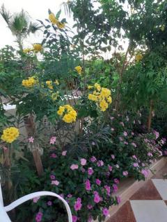 Villa 2 apartament 3 sea view infront of Palma de Meritee - Hurghada - 5