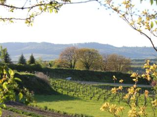 Appealing apartment with terrace - 2