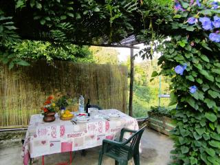 Giardino di Emanuela - Nocchi - 7