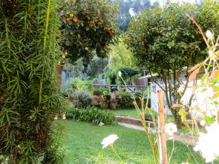 Giardino di Emanuela - Nocchi - 0