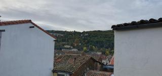 Bosque de los sauces - 4