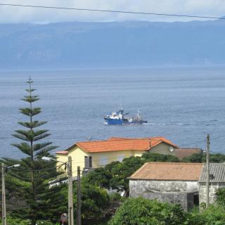 Adega do Gato - Calhau - 1