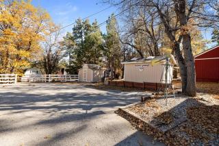 Hyes in the Woods, quiet neighborhood - 7