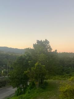 Andeve's tranquil beautiful home - Montego Bay - 9