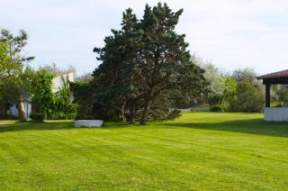 MAS MLS - Saintes-Maries-de-la-Mer - 5