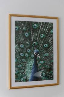 20 m² métro 7 à 5 min à pied - 9