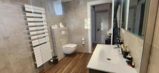 Logement 100m² industriel avec jardin et terrasse - Brumath - 4