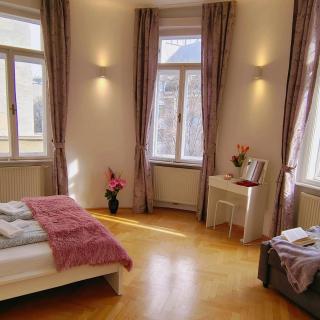 Central and round 3 minutes to city shopping center and Schönbrunn Palace - 9